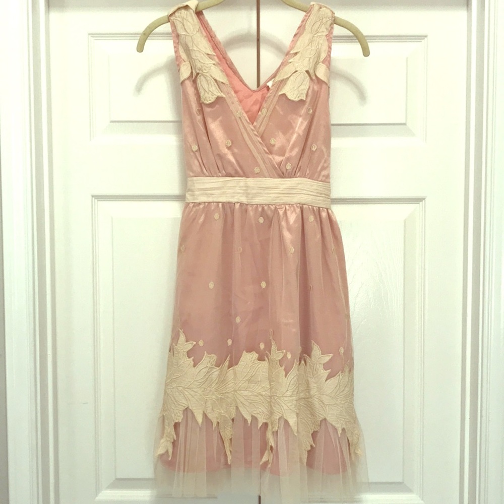 Blush Pink Ryu Dress From Anthropologie